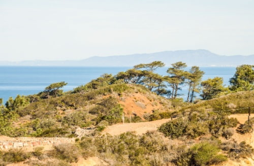 Beautiful hiking trail with view at Torrey Pines Natural Reserve